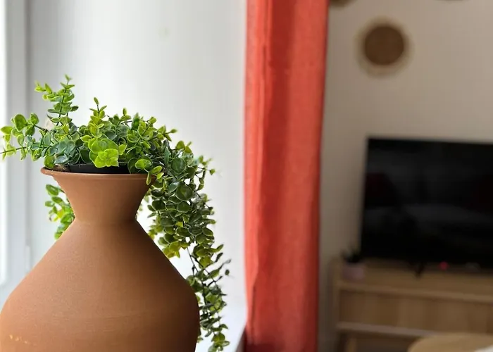 Апартаменты La Senegalaise Шоле